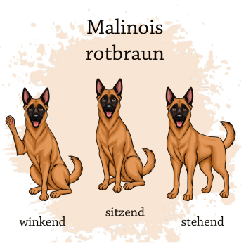 Preview: Farbauswahl der Dokumentenhülle für die Hunderasse Malinois rotbraun
